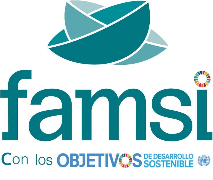 Encuentro - taller de 'Localizaci&oacute;n de ODS' en el I Foro Global de Gobiernos Locales que organiza el Ayuntamiento de Sevilla