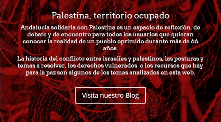 Un muro de reflexi&oacute;n por Palestina