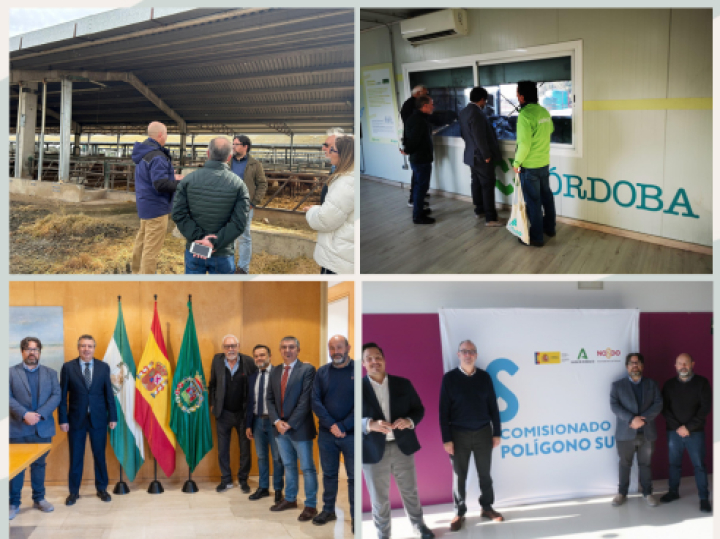 Un encuentro de trabajo con la delegaci&oacute;n de la intendencia de Montevideo reforz&oacute; lazos de cooperaci&oacute;n entre diferentes gobiernos locales andaluces, empresas cooperativas y entidades de la sociedad civil