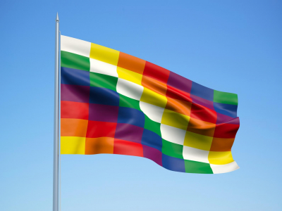 Comunicado del FAMSI sobre la situaci&oacute;n en Bolivia