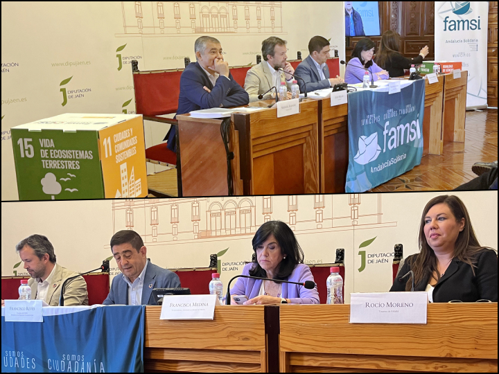 FAMSI re&uacute;ne en la Diputaci&oacute;n de Ja&eacute;n a cerca de un centenar de gobiernos locales y provinciales andaluces
