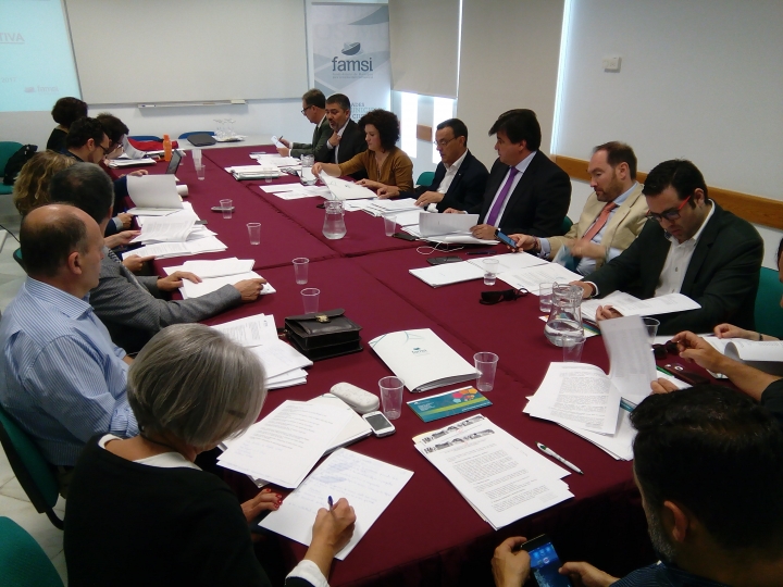 La Junta Directiva del FAMSI aprueba por unanimidad el Balance de 2016 y el Plan de Trabajo de 2017