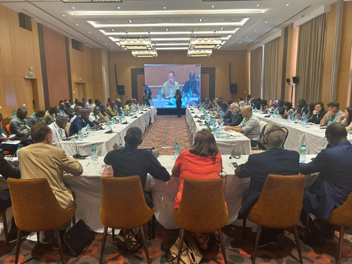 Seminario de Cooperaci&oacute;n Descentralizada y Enfoque Territorial en Dakar: Impulsando la Cooperaci&oacute;n Descentralizada y el Desarrollo Territorial