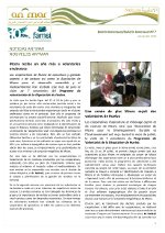 Boletin An^Mar n�7