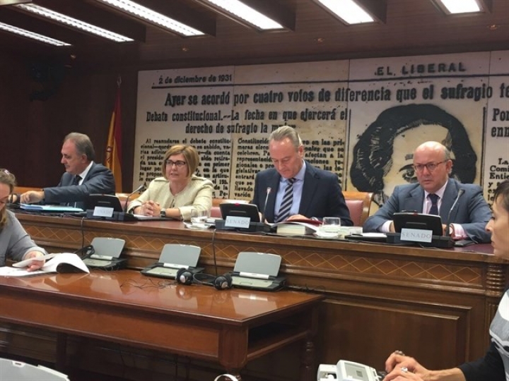 Rosario Cordero, presidenta de la Diputaci&oacute;n de C&aacute;ceres: 'Para conseguir los ODS internacionales hay que cumplirlos antes a nivel local'