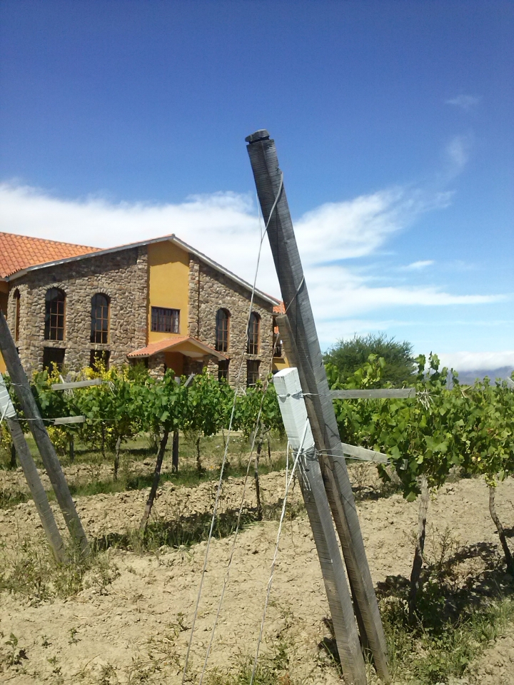 FAMSI organiza una misi&oacute;n de fortalecimiento y colaboraci&oacute;n entre consejos reguladores de Denominaci&oacute;n de Origen de vino entre Andaluc&iacute;a y Bolivia