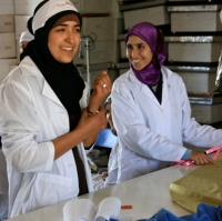 FAMSI y la Federaci&oacute;n ANMAR inician un programa que llevar&aacute; equidad, igualdad de oportunidades y perspectiva de g&eacute;nero a las instituciones