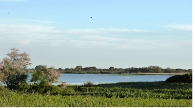 Turismo sostenible de la mano del proyecto Live your Tour en la Feria de las Aves de Do&ntilde;ana