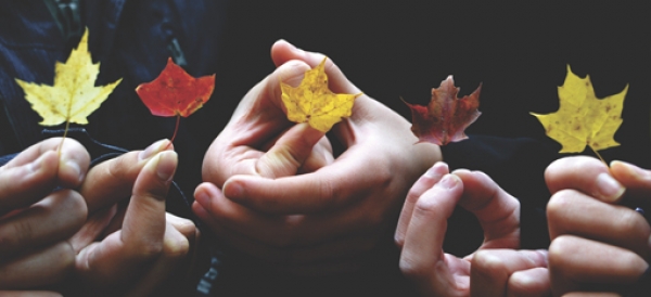Coglobal lanza el segundo taller sobre &ldquo;Desarrollo Humano Local y Democracia Participativa&rdquo;