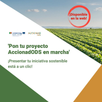 Si tienes un proyecto sostenible, quiz&aacute;s podemos ayudarte