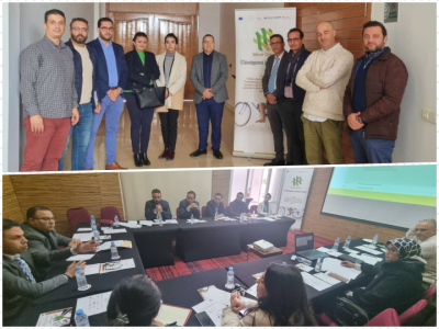Entidades p&uacute;blicas y acad&eacute;micas de Marruecos se re&uacute;nen para avanzar en la inserci&oacute;n laboral del alumnado 'Move Green'