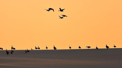 Live Your Tour presenta su informe sobre potencialidades tur&iacute;sticas