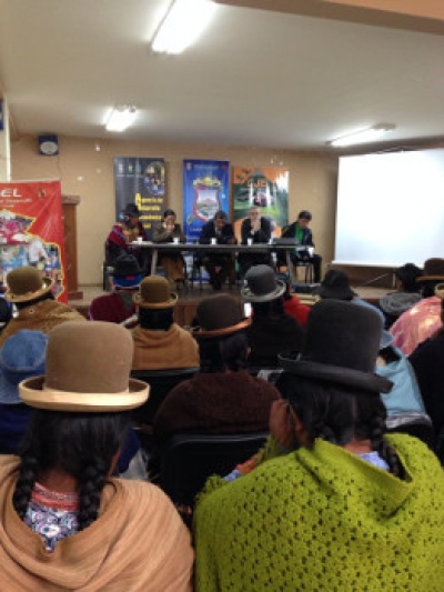 Fortalecimiento de Pol&iacute;ticas P&uacute;blicas de Desarrollo Econ&oacute;mico y Local y su territorializaci&oacute;n en Bolivia