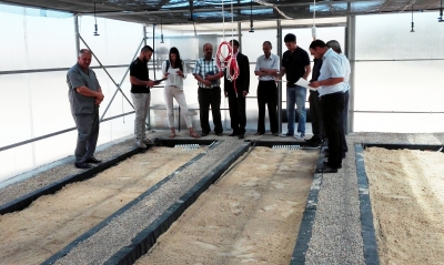 FAMSI y Diputaci&oacute;n de Ja&eacute;n asisten a los municipios de Beni Kheddeche y Medenine en sus procesos de planificaci&oacute;n territorial y de desarrollo econ&oacute;mico local