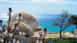 T&uacute;nez acoge el pr&oacute;ximo campamento internacional para j&oacute;venes del proyecto Live your Tour