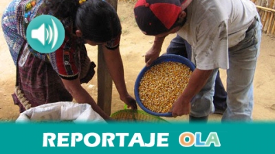 Andaluc&iacute;a Solidaria Radio llega a su fin dejando atr&aacute;s muchas reflexiones