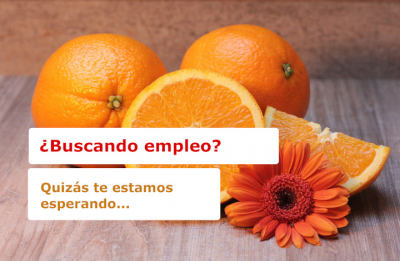 OFERTA DE EMPLEO: abierto el proceso de selecci&oacute;n para cubrir 1 plaza en el FAMSI